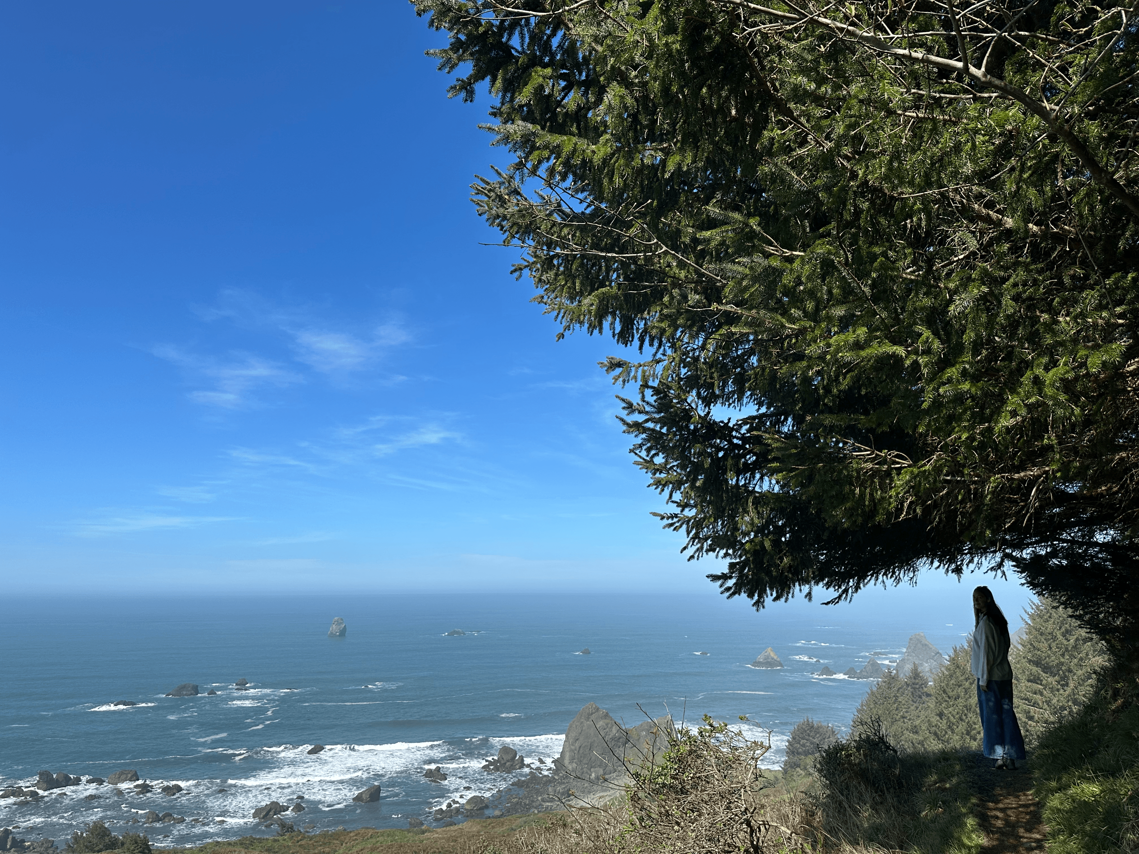 Photo of Sara, Alan, and Coco from Samuel H. Boardman State Scenic Corridor