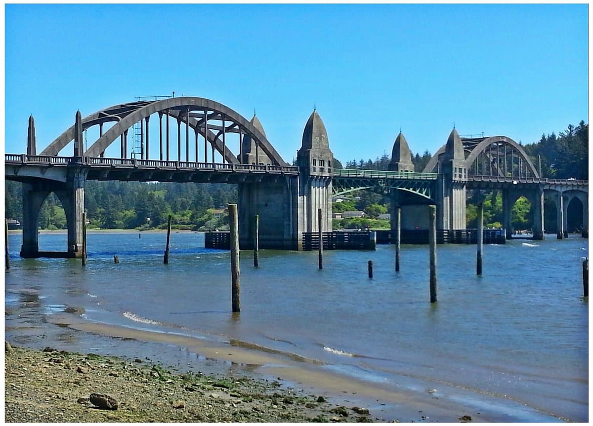 Photo of Bill from Sandmaster Park, Florence, Oregon